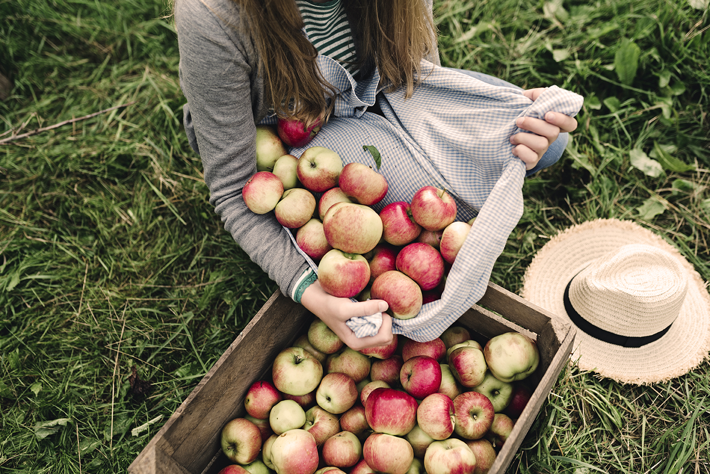 Young woman collecting apples in the fall