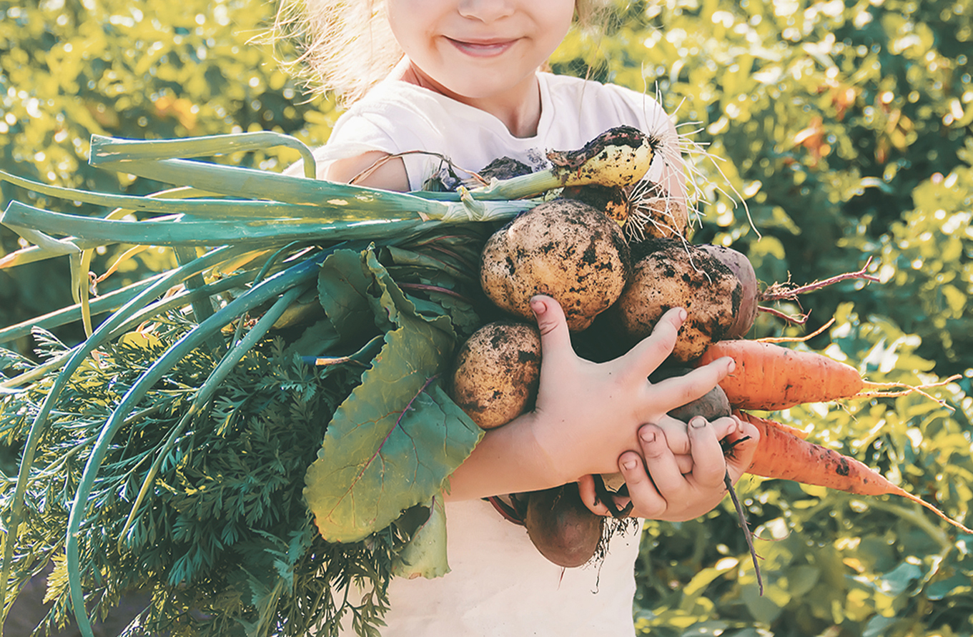 little girl holding large crop of root vegetables